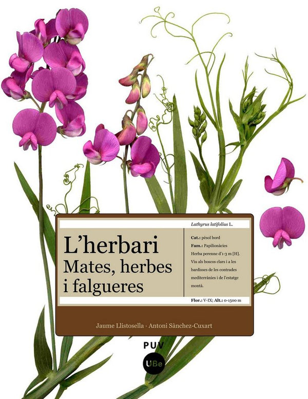 L'Herbari: Mates, Herbes I Falgueres