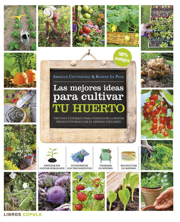 Las Mejores Ideas Para Cultivar Tu Huerto