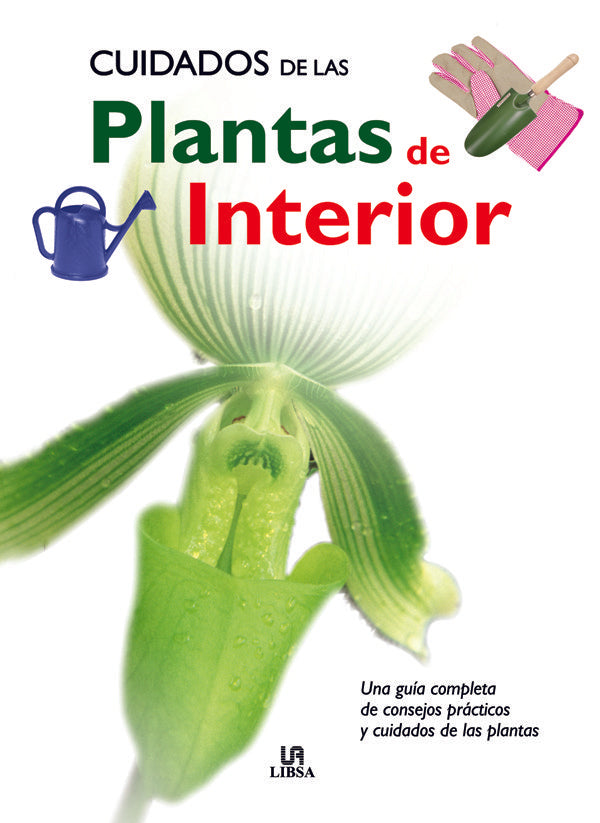 Cuidados De Las Plantas De Interior