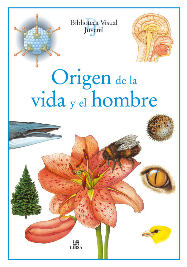 Origen De La Vida Y El Hombre