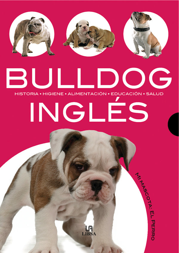 Bulldog Inglés