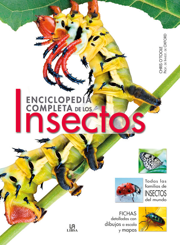 Enciclopedia Completa De Los Insectos