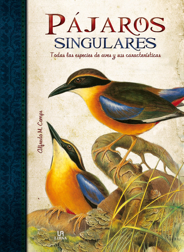 Pájaros Singulares