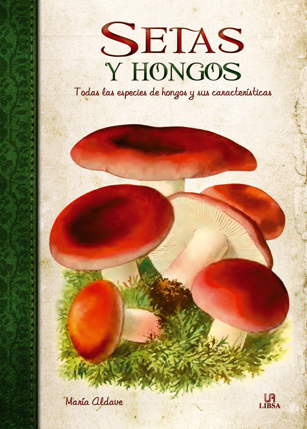 Setas Y Hongos