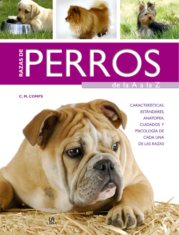 Razas De Perros De La A A La Z