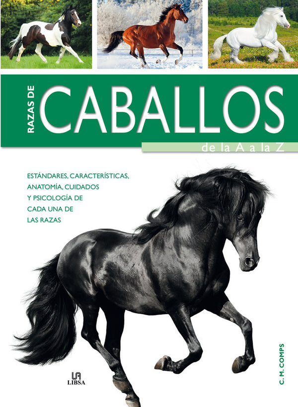 Razas De Caballos De La A A La Z