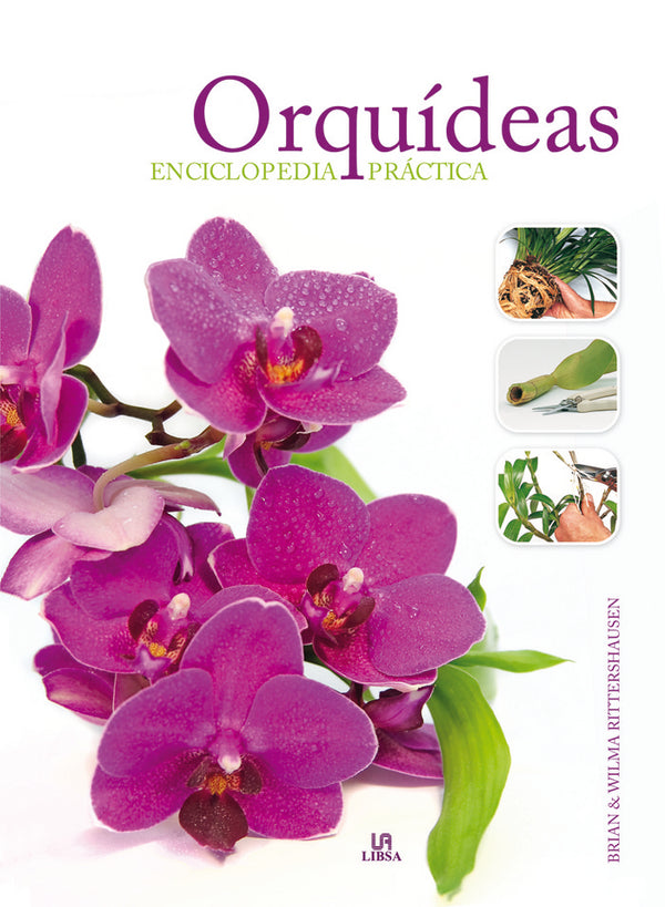 Orqu¡Deas Enciclopedia Práctica