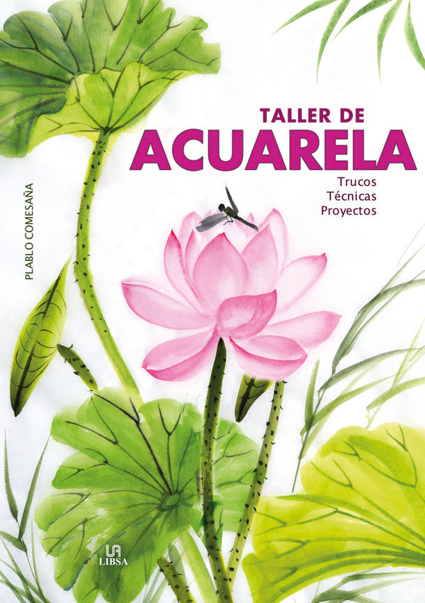 Taller De Acuarela