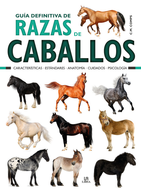 Guía Definitiva De Razas De Caballos