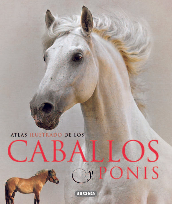 Caballos Y Ponis