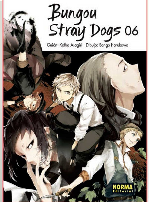 Bungou Stray Dogs 6