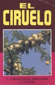 El Ciruelo