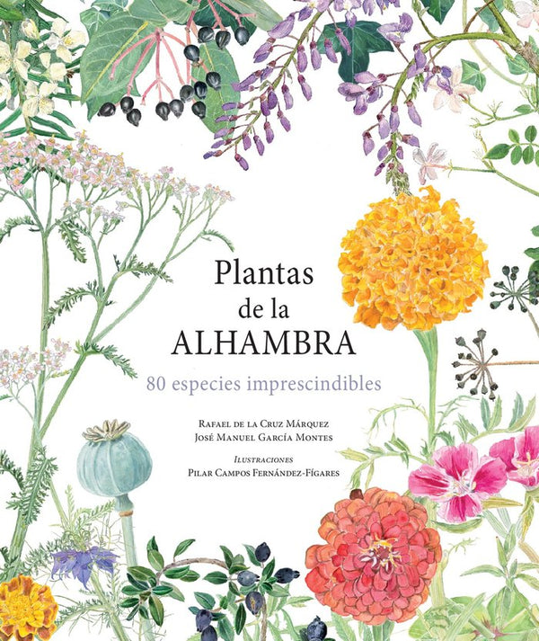 Plantas De La Alhambra