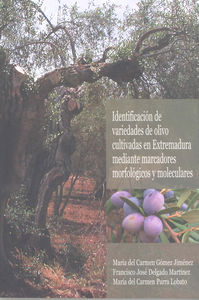 Identificación De Variedades De Olivo Cultivadas En Extremadura Mediante Marcadores Morfológicos Y M