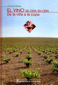 El Vino De Cepa En Cepa. De La Viña A La Copa