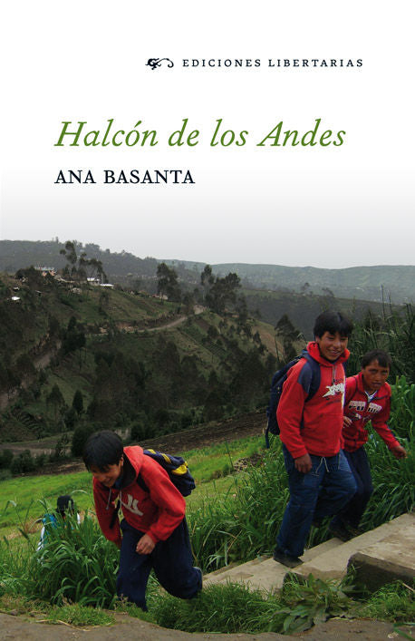 Halcón De Los Andes