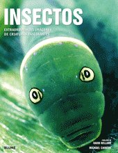 Insectos