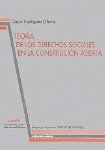 Teoria De Los Derechos Sociales En