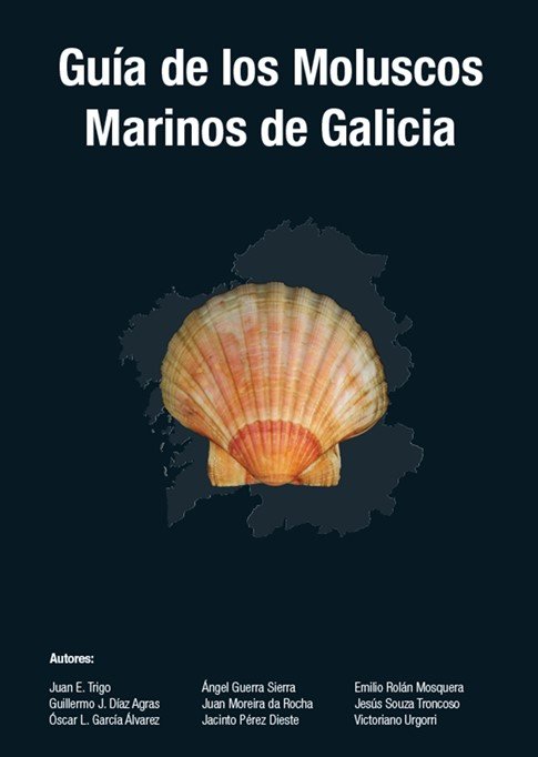 Guía De Los Moluscos Marinos De Galicia