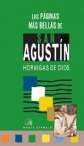 Las Páginas Más Bellas De San Agustín