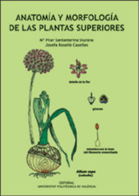 Anatomía Y Morfología De Las Plantas Superiores