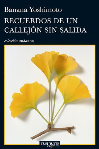 Recuerdos De Un Callejón Sin Salida