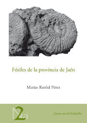 Fósiles De La Provincia De Jaén