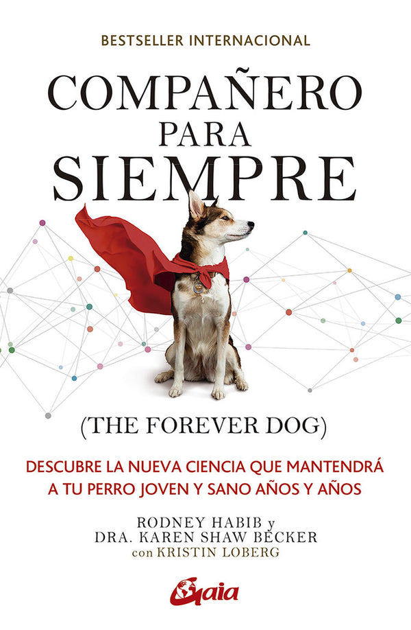 Compañero Para Siempre The Forever Dog