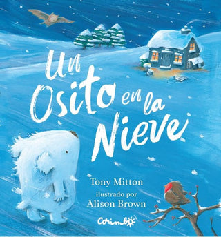 Un Osito En La Nieve Cartón