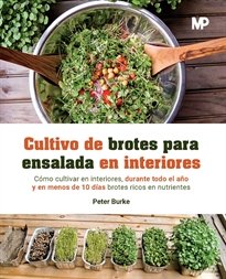 Cultivo De Brotes Para Ensalada En Interiores