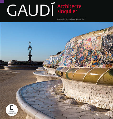 Gaudi Architecte Singulier