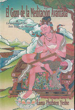 El Gozo De La Meditacion Avanzada