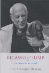 Picasso & Lump