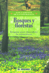 Bosques Y Florestas