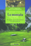 La Montaña