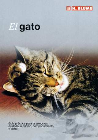 El Gato