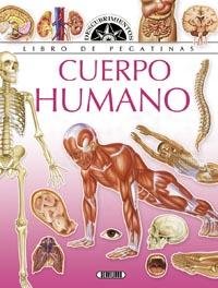 Cuerpo Humano
