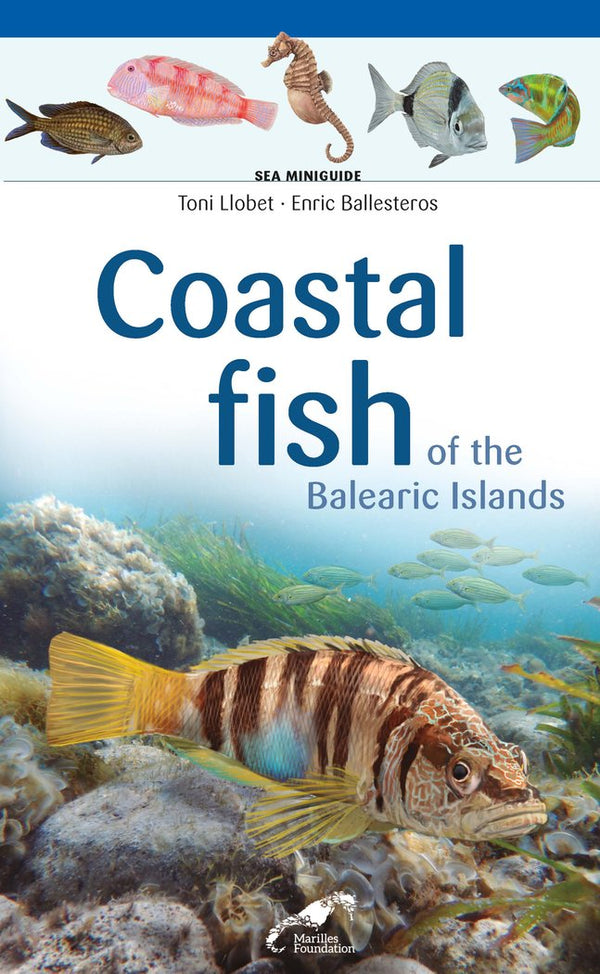 Coastal Fish Of The Balearic Islands