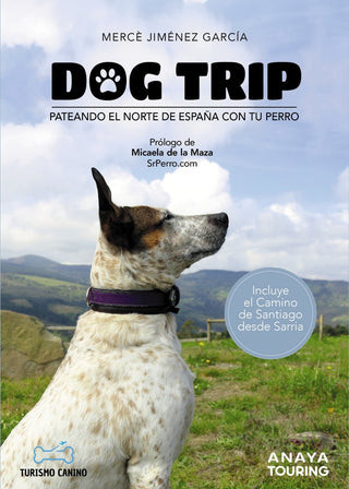 Dog Trip Pateando El Norte De España Con Tu Perro