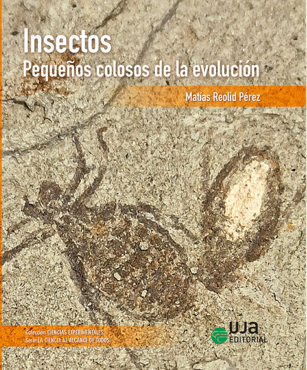 Insectos Pequeños Colosos De La Evolucion