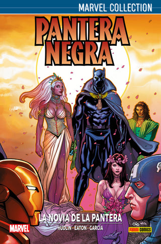 Pantera Negra