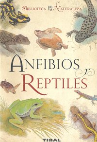 Anfibios Y Reptiles