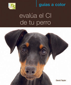 Evalúa El Ci De Tu Perro