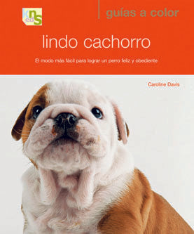 Lindo Cachorro