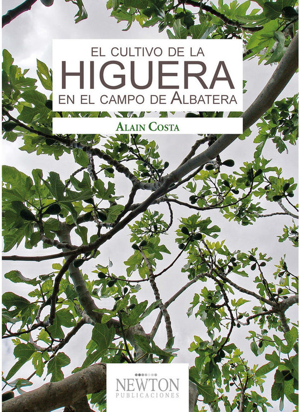 El Cultivo De La Higuera En El Campo De Albatera