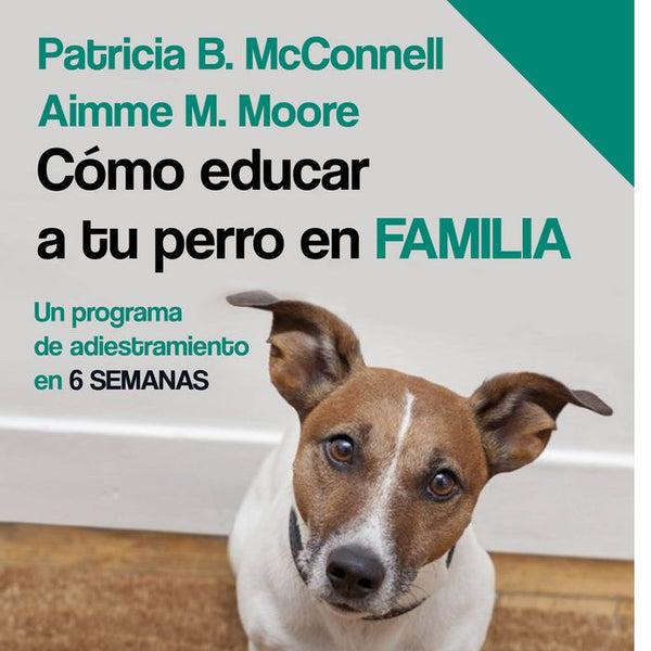 Cómo Educar A Tu Perro En Familia