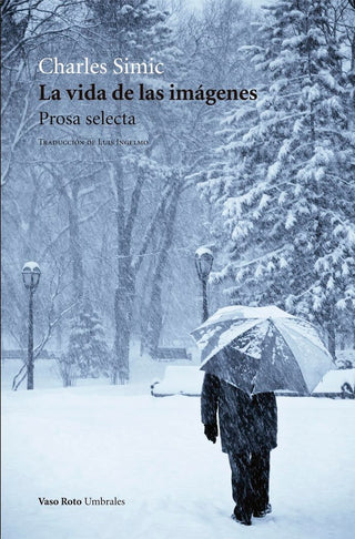 La Vida De Las Imágenes