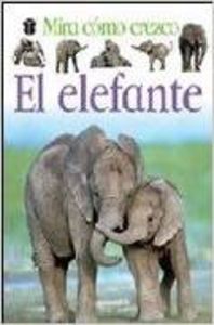 Elefante Animales A Tu Alcance