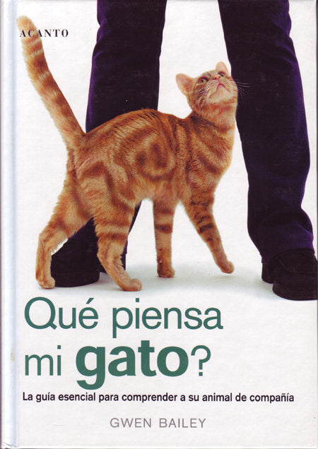 ¿Qué Piensa Mi Gato?