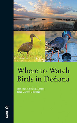 Where To Watch Birds In Doñana